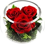 Rosen-te-amo Blumenstrauß in der Vase (Blumengesteck) aus Konservierte rote Rosen - Haltbare Blumen (ECHTE Rosen)