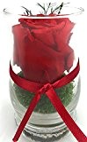 Rosen-te-amo Blumenstrauß (Rosen-Gesteck) aus echte Rote Rose (Konservierte Rose) in der Vase 3 JAHRE haltbar OHNE WASSER - Valentinstag Blumen-Arrangement