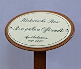 Rosenschild Emaille Historische Rose Rosa gallica Officinalis, Apotheker