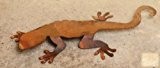 Rost Salamander - Edelrost Eidechse rostige Gartendeko Teichdeko (klein 20 cm x 15 cm)