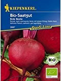 Rote Beete Detroit2/Bolivar Bio-Saatgut