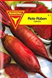 Rote Rüben, Cylindra, ca. 150 Samen