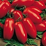 Rote Tomate in Flaschenform - San Marzano - Flaschentomate - 20 Samen