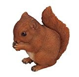 Rotes Eichhörnchen Baby Real Life, von Vivid Arts