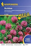 Rotklee 1 kg, Trifolium pratense - 1 Foliensack/ 1 kg