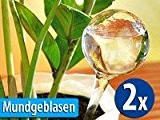Royal Gardineer Gießfrei-Bewässerungskugeln aus Glas, 2er-Set