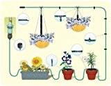 Royal Gardineer Pflanzen-Bewässerungs-System für Balkon, Terrasse und Gewächshaus