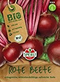 Rübensamen - Bio-Rote Beete Storuman - Bio-Saatgut von Sperli-Samen