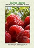 Rubus Idaeus (20) Saatgut - Himbeere Samen [European Red Raspberry]