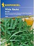 Rucola 'Wilde Rauke',1 Portion