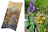 Saatgut Set: "Alpine Pflanzen" 4 Gebirgspflanzen für den Steingarten als Samen in schöner Geschenk-Verpackung