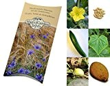 Saatgut Set: 'Alte Gurkensorten', 6 seltene, ursprüngliche Sorten als Samen in schöner Geschenk-Verpackung