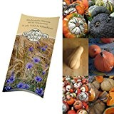 Saatgut Set: "Alte Kürbis-Sorten", 5 wohlschmeckende und dekorative Sorten als Samen in schöner Geschenk-Verpackung