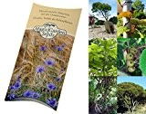 Saatgut Set: "Australische Pflanzen" 3 typische Pflanzensorten aus Australien als Samen für die Anzucht in schöner Geschenk-Verpackung