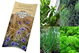 Saatgut Set: "Bio Kräuter" 5 essentielle Küchenkräuter in Bio-Qualität als Samen in schöner Geschenk-Verpackung