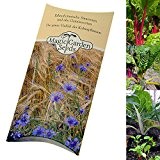 Saatgut Set: 'Bunte Mangold-Vielfalt', 3 farbenfrohe Sorten als Samen in schöner Geschenk-Verpackung