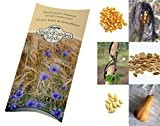 Saatgut Set: 'Die 3 Schwestern': Mais, Bohnen und Kürbis für ein traditionelles Milpa-Beet als Samen in schöner Geschenk-Verpackung