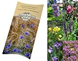 Saatgut Set: "Duftpflanzen", Samen für 6 Blühpflanzen mit duftenden Blüten, in schöner Geschenk-Verpackung