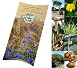 Saatgut Set: "Essbare Exotische Pflanzen" 6 Nutzpflanzen der Tropen und Subtropen als Samen in schöner Geschenk-Verpackung