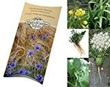 Saatgut Set: "Essbare Wildpflanzen" 5 Wildgemüse und Wildkräuter als Samen in schöner Geschenk-Verpackung