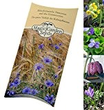 Saatgut-Set: 'Frühlingsblüher zum Verwildern' 4 besondere Blumensorten als Samen für die Aussaat in schöner Geschenkbox