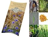 Saatgut Set: "Getreide" 3 ethnobotanisch bedeutsame Getreidesorten als Samen in schöner Geschenk-Verpackung