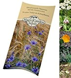 Saatgut Set: "Heilpflanzen", Samen zur Anzucht für 5 traditionelle Arnzeipflanzen in schöner Geschenkverpackung