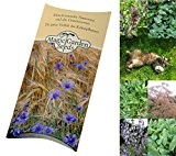 Saatgut Set: 'Katzenkräuter', 3 Pflanzen die ihre Katze lieben wird, Samen in schöner Geschenk-Verpackung
