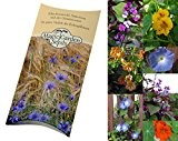 Saatgut Set: 'Kletterpflanzen', 3 einjährige, blühende Sorten als Samen in schöner Geschenk-Verpackung
