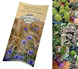 Saatgut Set: 'Kohl Raritäten', 6 besondere Kohlsorten als Samen in schöner Geschenk-Verpackung