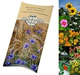 Saatgut Set: 'Lückenfüller für das Blumenbeet', 5 einjährige bis zweijährige, bunte Blühpflanzen