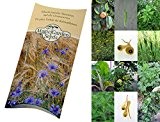 Saatgut Set: 'Mittelalter Garten', 7 Pflanzen für den mittelalterlichen Nutzgarten als Samen in schöner Geschenk-Verpackung