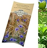Saatgut Set: 'Pfeifentabak', 3 Sorten für Pfeifen-Tabakmischungen, je 500 Samen in schöner Geschenk-Verpackung