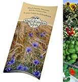 Saatgut Set: 'Pflanzen-Entdecker-Set für Kinder', 4 unkomplizierte Pflanzensorten
