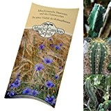 Saatgut Set: 'San Pedro Arten', 3 Trichocereus Kaktus Arten (3 x 20 Samen) in schöner Geschenk-Verpackung