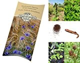 Saatgut Set: "Traditionelle Chinesische Medizin" 6 Heilpflanzen als Samen in schöner Geschenk-Verpackung