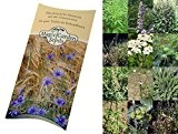 Saatgut Set: 'Wichtige Heilpflanzen der Frauenheilkunde', 6 Heilkräutersorten als Samen zur Anzucht für den Garten in schöner Geschenkverpackung