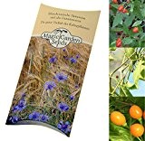 Saatgut Set: "Wildchili", 3 wilde Chilisorten als Samen in schöner Geschenk-Verpackung