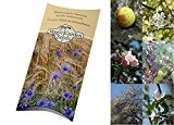 Saatgut Set: "Wilde Obstbäume" 3 Wildobst Sorten als Baumsamen in schöner Geschenk-Verpackung