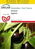 SAFLAX - Anzucht Set - Aubergine - Eierbaum - 20 Samen - Solanum melonga