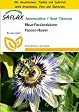 SAFLAX - Anzucht Set - Blaue Passionsblume - 25 Samen - Passiflora caerulea