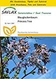 SAFLAX - Anzucht Set - Blauglockenbaum - 200 Samen - Paulownia tomentosa