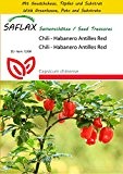SAFLAX - Anzucht Set - Chili - Habanero Antilles Red - 10 Samen - Capsicum chinense