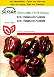 SAFLAX - Anzucht Set - Chili - Habanero Chocolate - 10 Samen - Capsicum chinense