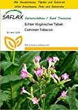 SAFLAX - Anzucht Set - Echter Virginischer Tabak - 250 Samen - Nicotiana tabacum