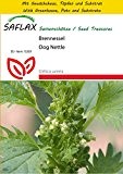 SAFLAX - Anzucht Set - Heilpflanzen - Brennessel - 150 Samen - Urtica urens