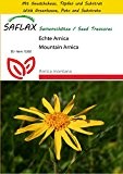 SAFLAX - Anzucht Set - Heilpflanzen - Echte Arnica - 40 Samen - Arnica montana