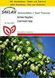 SAFLAX - Anzucht Set - Heilpflanzen - Echter Hopfen - 50 Samen - Humulus lupulus