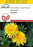 SAFLAX - Anzucht Set - Heilpflanzen - Löwenzahn - 200 Samen - Taraxacum officinale