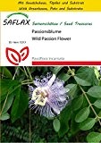 SAFLAX - Anzucht Set - Heilpflanzen - Passionsblume - 5 Samen - Passiflora incarnata